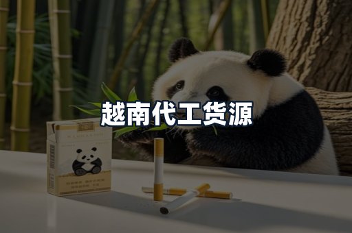 越南代工货源
